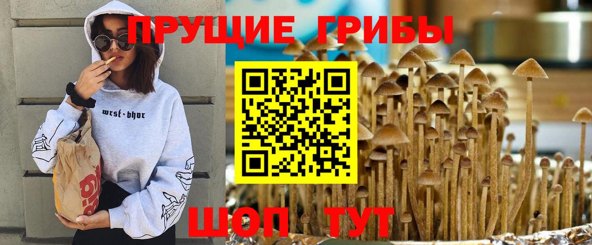 Ахтубинск  Псилоцибиновые грибы мухоморы  Псилоцибиновые грибы Psilocybine cubensis  Вход с VPN 