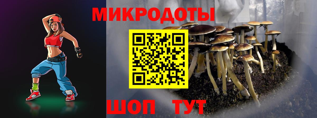 Псилоцибиновые грибы ЛСД Ахтубинск